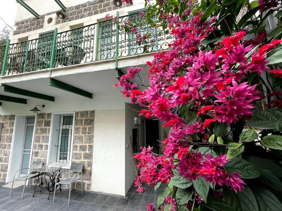 Berenice Winery Hotel Tiberias Bagian luar foto