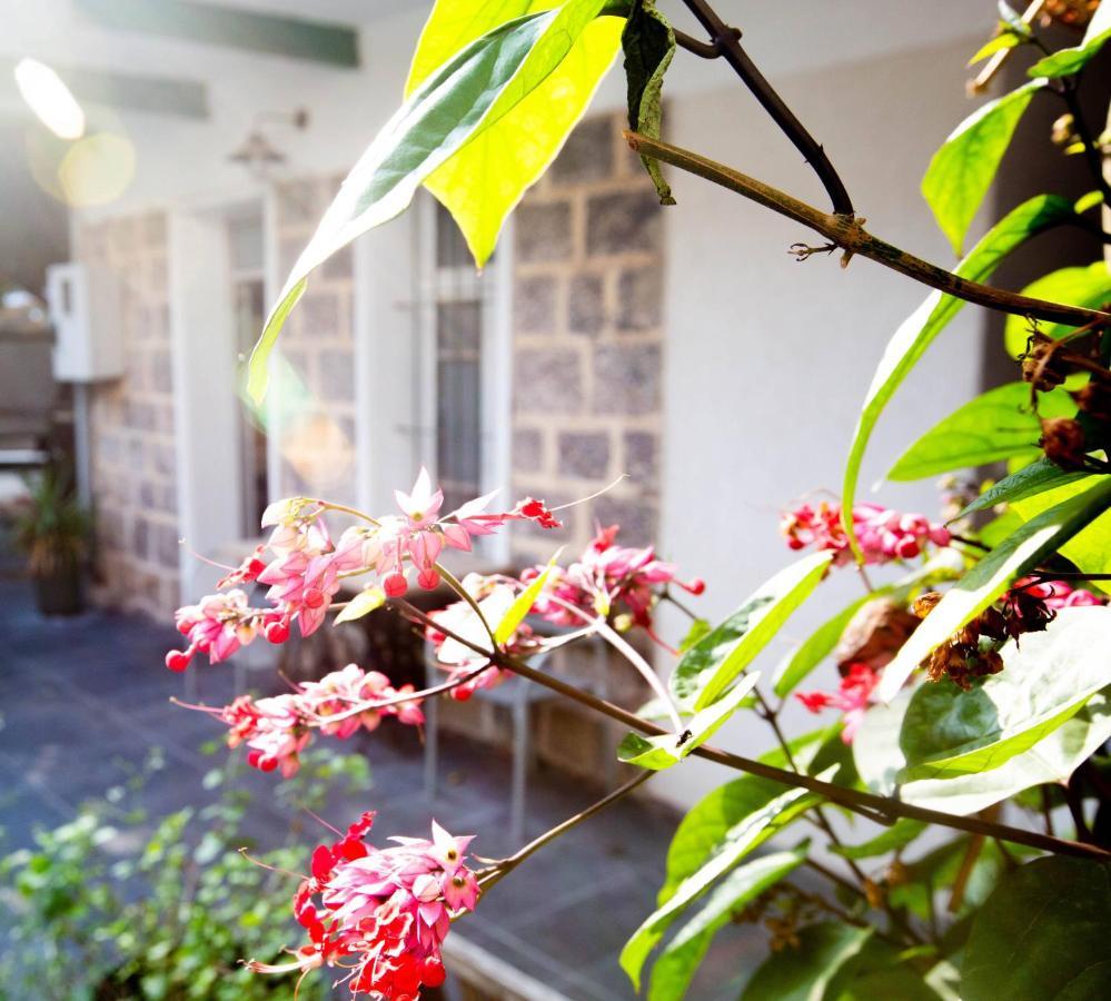 Berenice Winery Hotel Tiberias Bagian luar foto