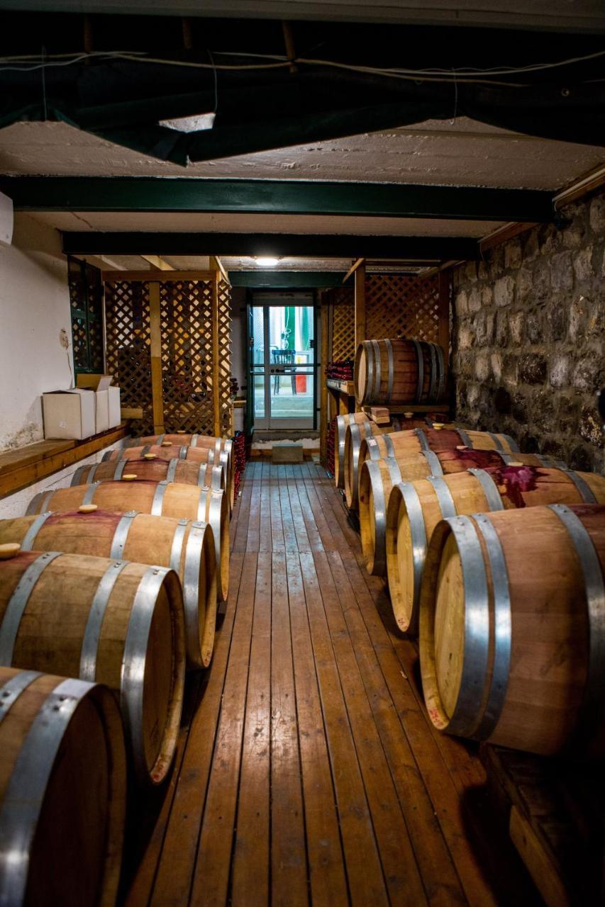 Berenice Winery Hotel Tiberias Bagian luar foto