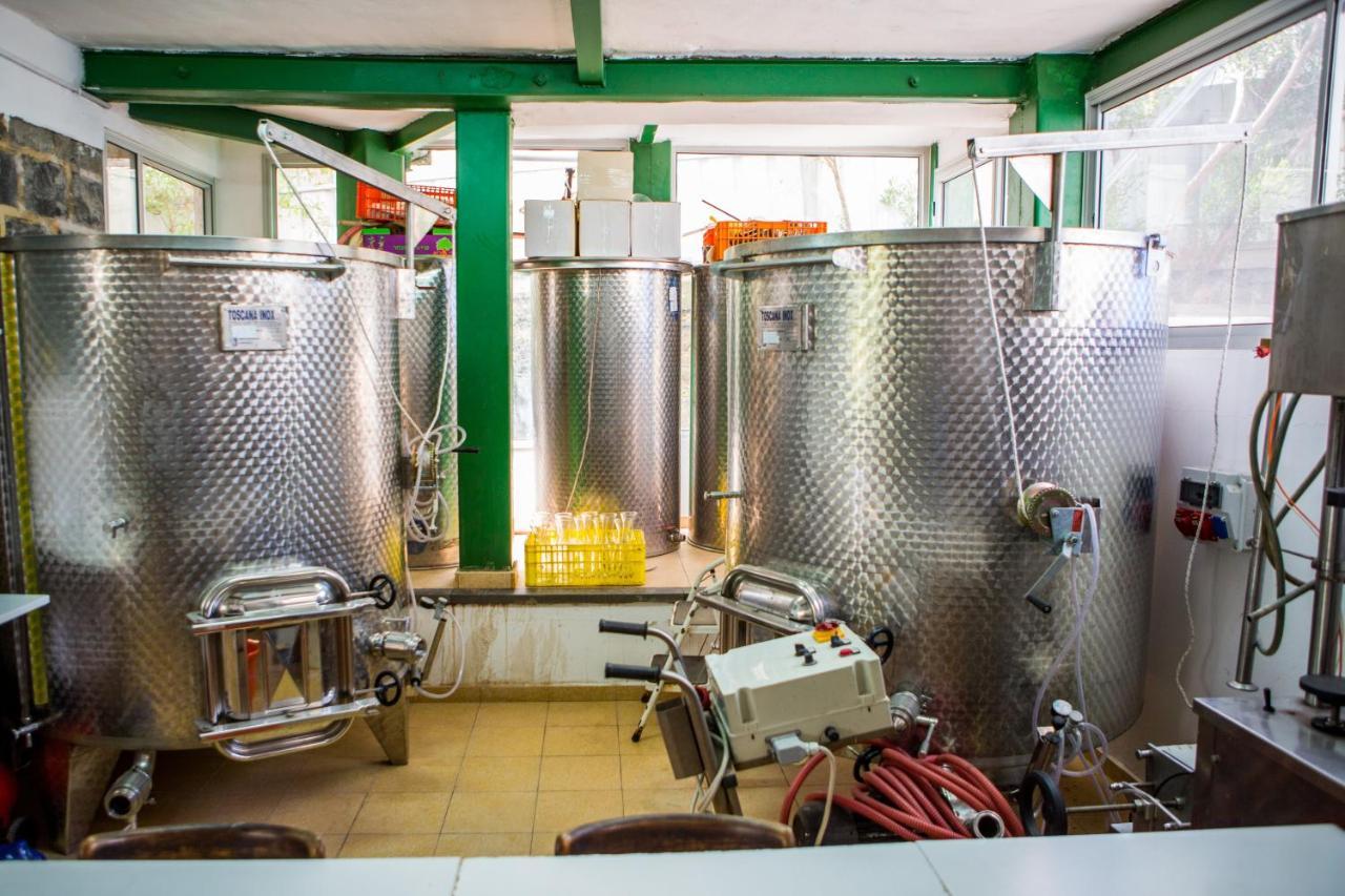 Berenice Winery Hotel Tiberias Bagian luar foto
